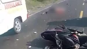 Kecelakaan Adu Banteng di Gresik Sebabkan Satu Orang Tewas