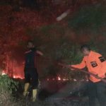 Lahan Terbakar, Situbondo,