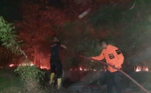Lahan Seluas 2 Hektare di Situbondo Terbakar Gegara Puntung Rokok
