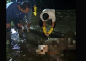 Mayat Mr. X Ditemukan Membusuk di Sungai Kandat Kediri