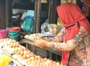 Ayam, Blitar, Telur Ayam, Harga Ayam Telur,