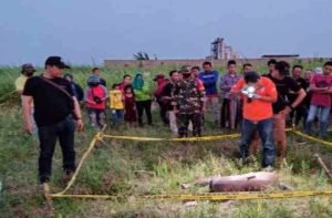 Terungkap, Identitas Mayat Gadis Telanjang di Kebun Tebu Jombang