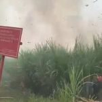 Sawah Terbakar, Kebakaran, Sidoarjo,