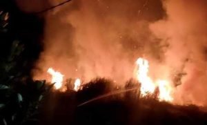 Lahan Kosong di Sebelah Perumahan Grand Site, Surodinawan, Mojokerto Terbakar