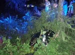 Tabrak Pohon Pinggir Jalan, Pemotor di Tuban Tewas Seketika