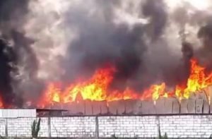 Pabrik Penggilingan Tongkol Jagung di Mojokerto Terbakar, Api Diduga Berasal Dari Kebun Tebu