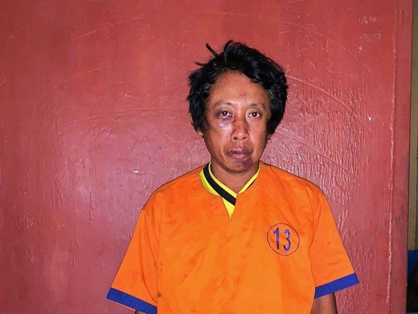 Maling jeruk,
