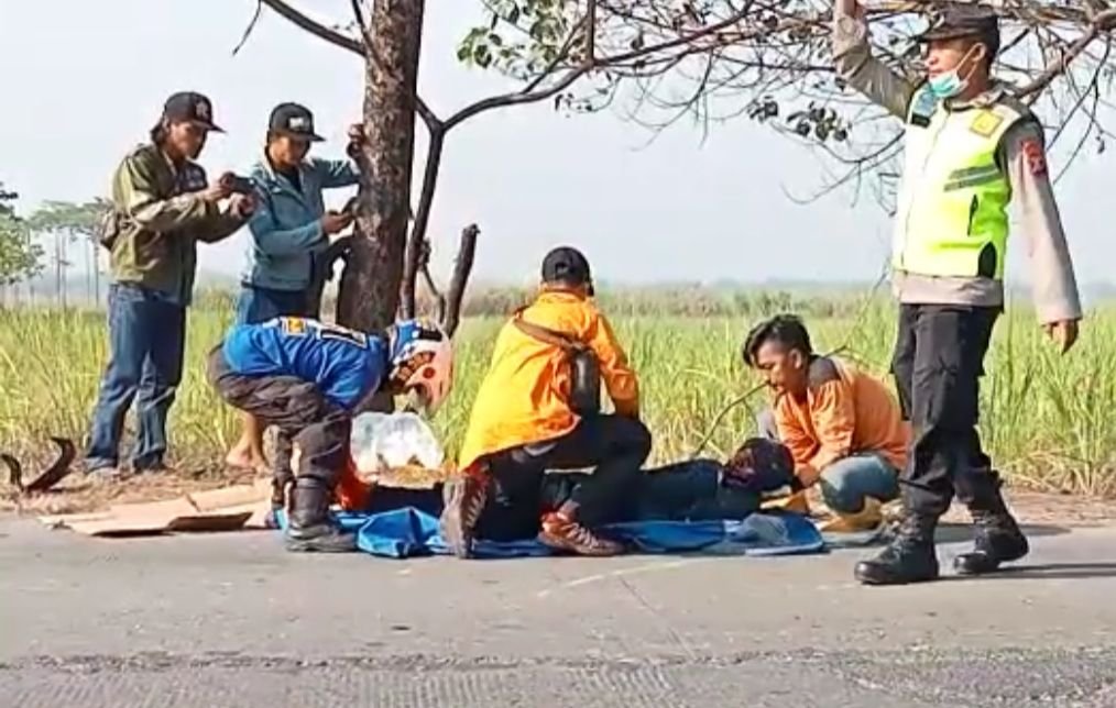 Gagal Nyalip Seorang Pns Tewas Tersambar Truk Di Mojokerto 9006