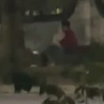 Video Sejoli, Mesum, Pagar, UNM,