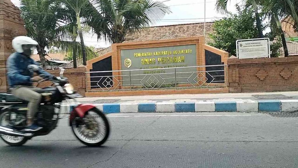 Tidak Hanya BBM, Pemerintah juga Cabut Subsidi Pupuk