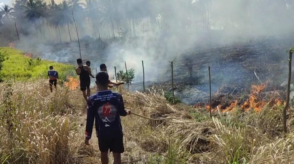 Lahan di Kecamatan Teluk, Halmahera Utara Ludes Terbakar