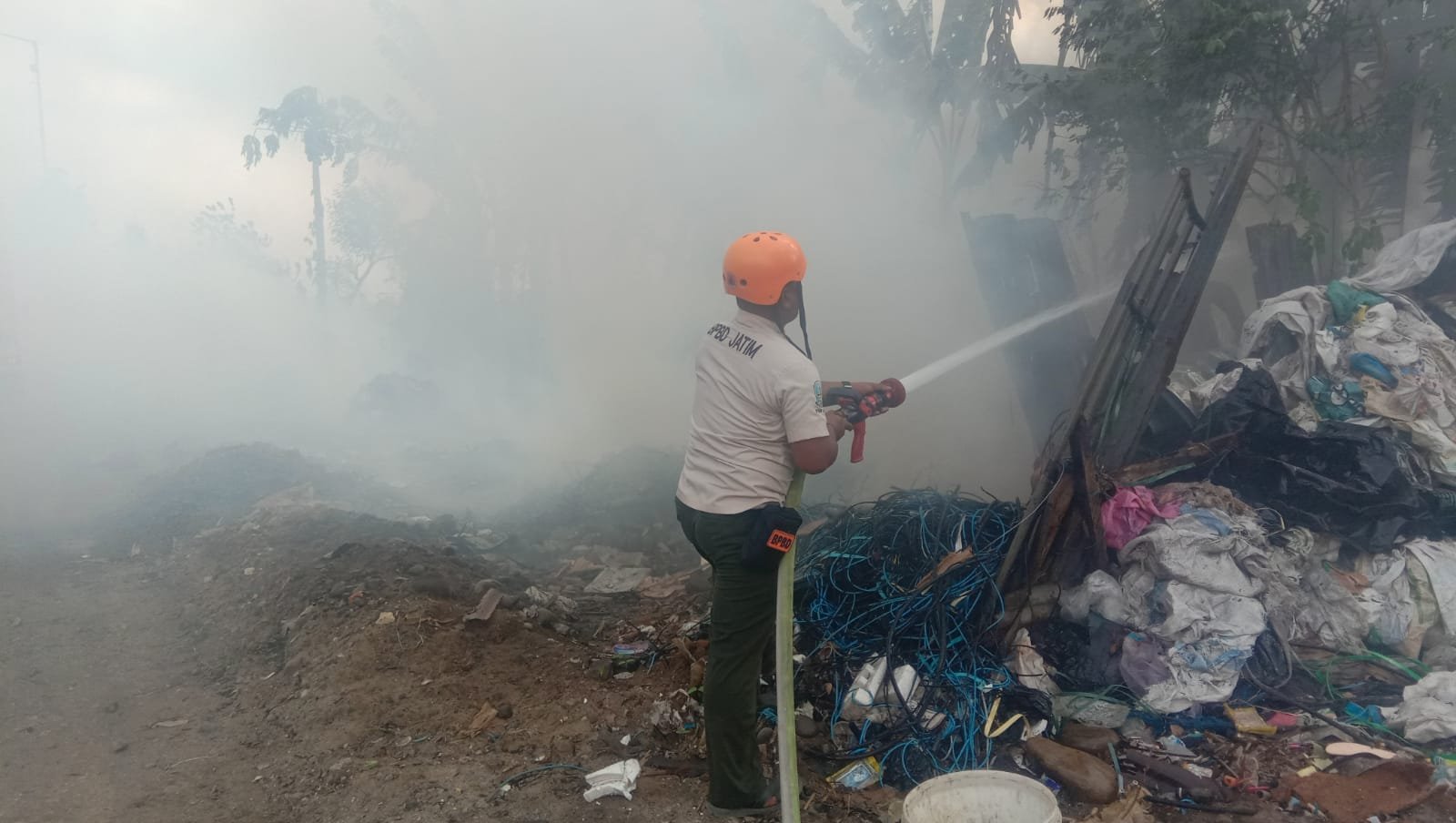 Lahan tebu, Mojokerto,