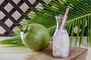 Jangan Khawatir, Air Kelapa Hijau Bisa Menjaga Kesehatan Ginjal