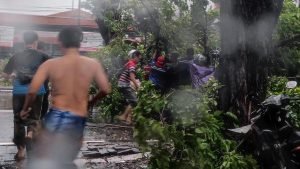 Tertimpa Pohon Tumbang di Bundaran Aloha, Pemotor Asal Sidoarjo Luka-luka