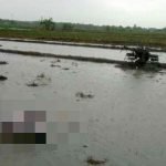 Petani, Tersambar Petir, Mojokerto,