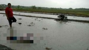 Nahas, Petani di Mojokerto Tewas Tersambar Petir saat Membajak Sawah