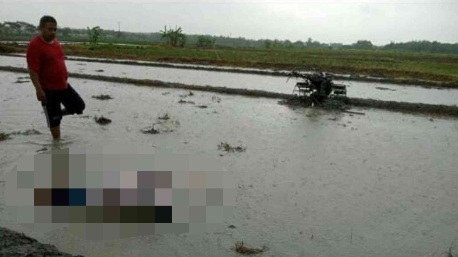 Petani, Tersambar Petir, Mojokerto,