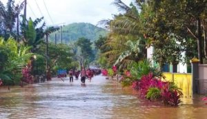 Puluhan Rumah di Banyuwangi Terendam Banjir Imbas Luapan Sungai Gonggo