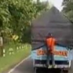 Pria bergelantungan, ngawi