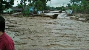 Banjir Banyuwangi, Mobil dan Sapi Ikut Hanyut