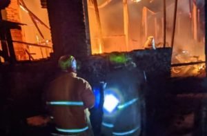 Kebakaran Kandang Ayam di Blitar, 7 Ribu Ayam Mati Terpanggang