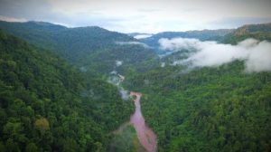 7 WNA Hilang saat Ekspedisi Hutan Halmahera Barat