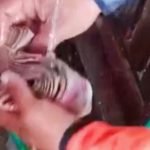 Segepok uang, Banjir Banyuwangi