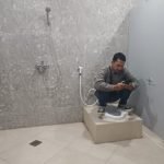 Toilet viral
