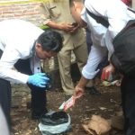 Penemuan mayat bayi, Pasuruan