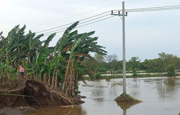 Gagal panen, Tambak pasuruan