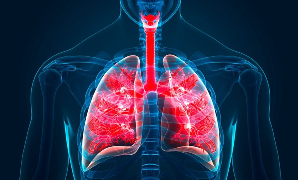 Makanan dan Minuman Ini Bisa Bersihkan Paru-Paru dari Nikotin dan Asap Rokok