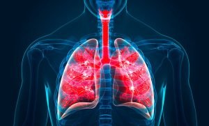 Makanan dan Minuman Ini Bisa Bersihkan Paru-Paru dari Nikotin dan Asap Rokok