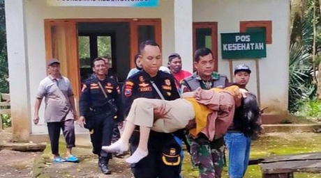 Kontraksi kandungan, Alas Purwo