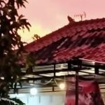 Angin kencang, Rumah rusak parah