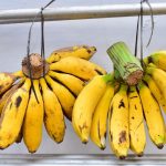 Resep masakan, Olahan pisang