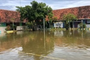 Bengawan njero, Berita Lamongan