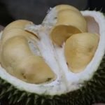 Cara memilih durian, Berita tips