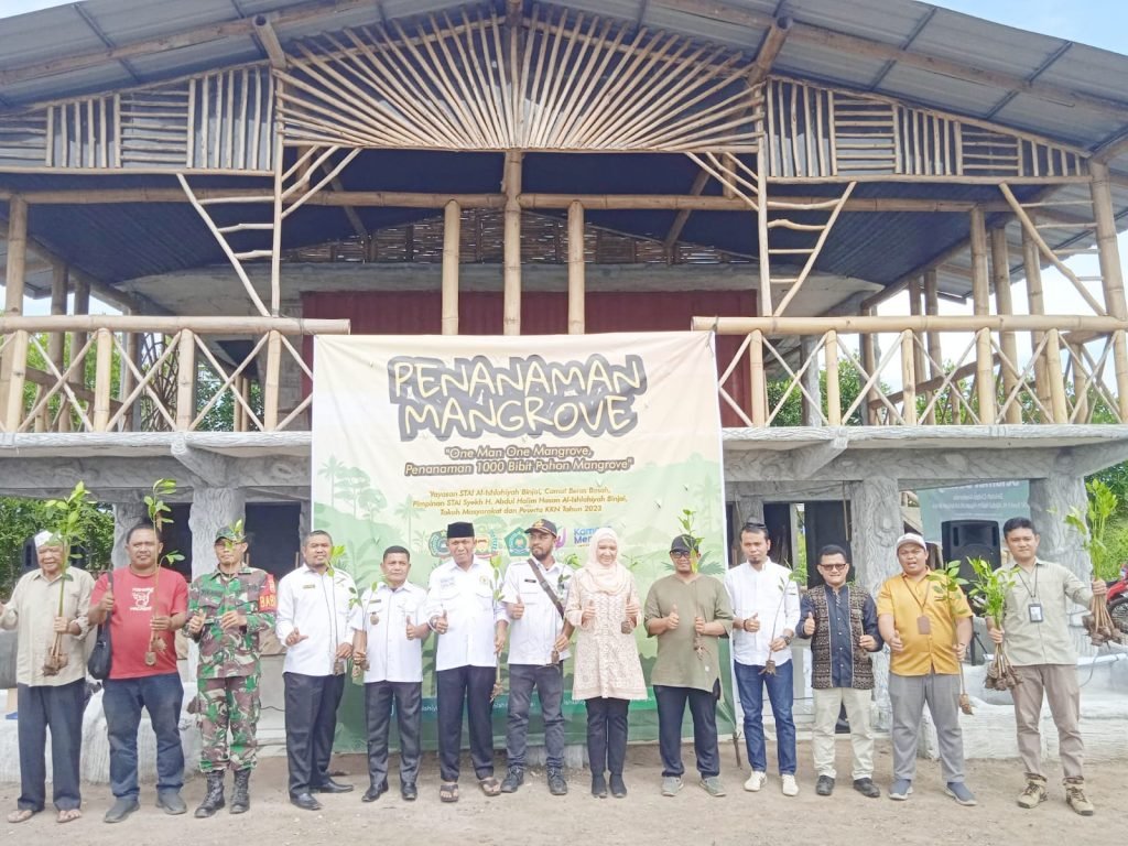 KKN STAI Al-Ishlahiyah Binjai 2023 Peduli Lingkungan Hidup, Tanam 1.000 Mangrove