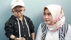 Daus mini, Berita artis