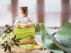 Manfaat Lain Minyak Kayu Putih, Bisa Bersihkan Layar Handphone Hingga Noda Pakaian