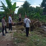 Jembatan ambrol, Berita Situbondo