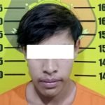 Pengedar pil koplo, Pil koplo