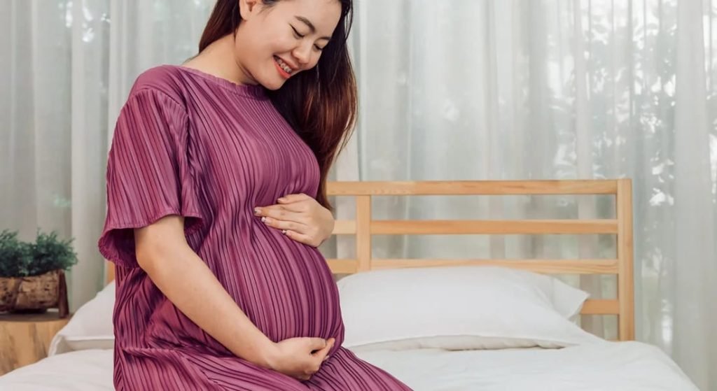 Tips Mudik Bagi Ibu Hamil Agar Tetap Aman dan Nyaman