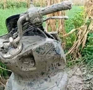 Geger! Motor PCX Penuh Lumpur Ditemukan di Sawah Mojokerto, Begini Kronologinya