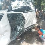 Minibus tabrak motor, Kecelakaan lalu-lintas, Berita Lamongan