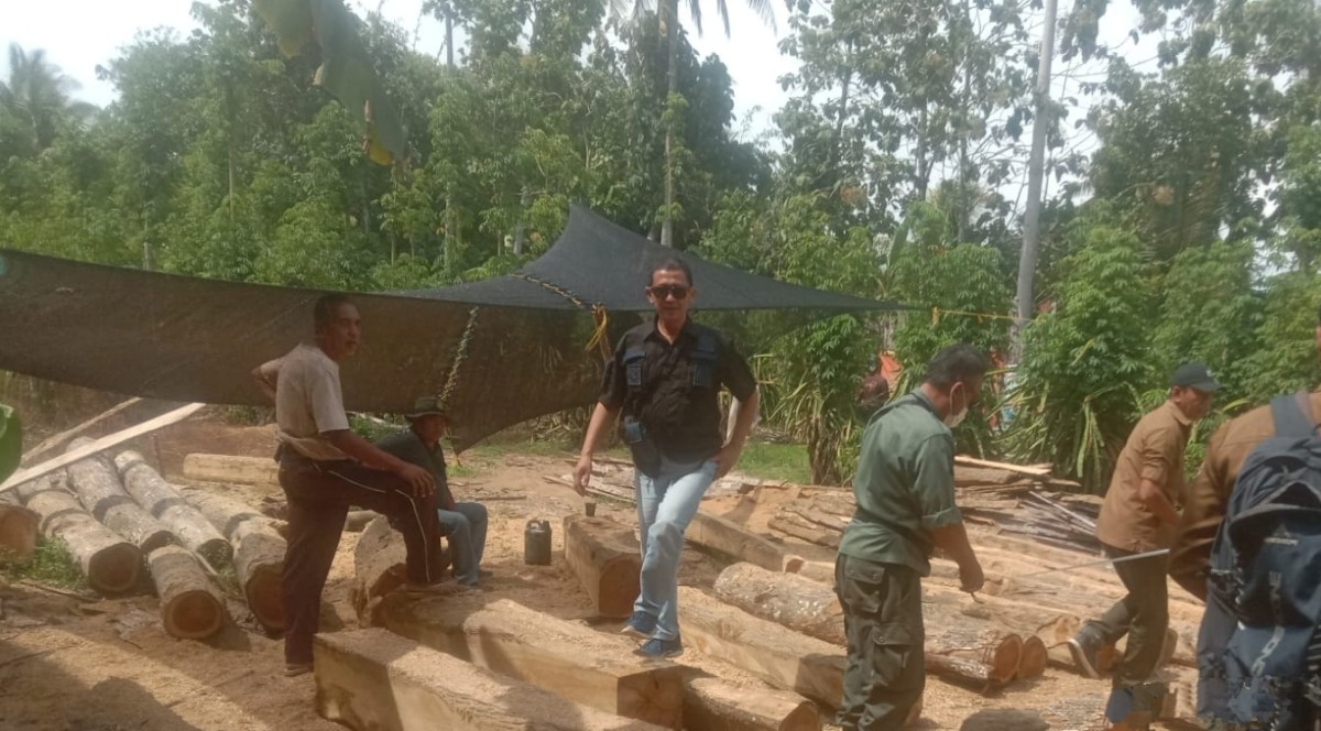 Pembalakan liar, Berita Banyuwangi