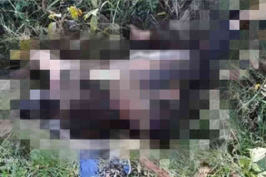 Geger, Wanita Hamil Ditemukan Tewas di Pinggir Sawah dengan Luka Bakar