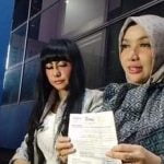 Roro Fitria, Berita selebriti, aksi pencurian
