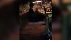 Viral! Video Sejoli Mesum di Area JT Mojokerto, Pengunggah Video: ‘Gak Bahaya Ta’