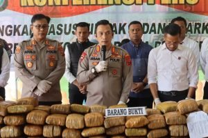Satres Narkoba Berhasil Amankan Pelaku Penyalahgunaan Narkotika Jenis Ganja 173 kg